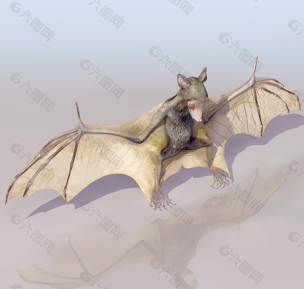 BAT 蝙蝠模型01