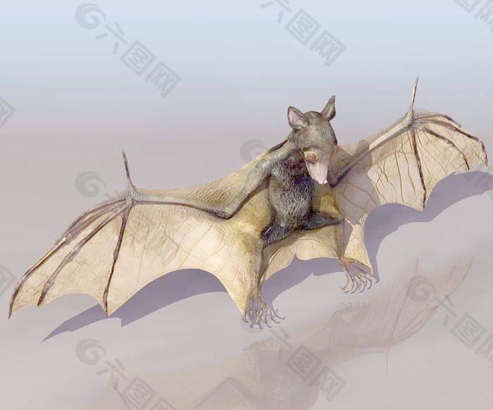 BAT（蝙蝠模型，带贴图）