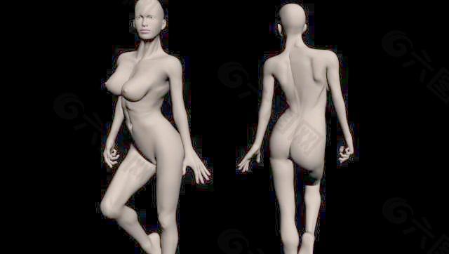 女人体模型06