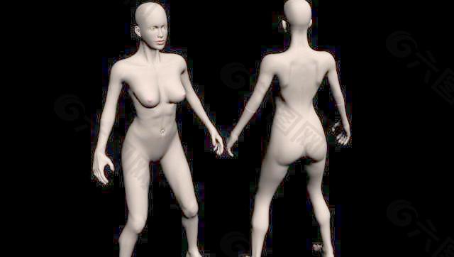 女人体模型05