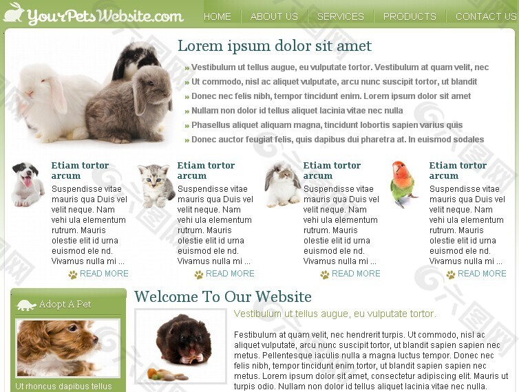 宠物世界网站模板