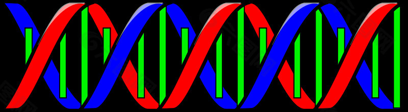 （DNA）的双螺旋结构