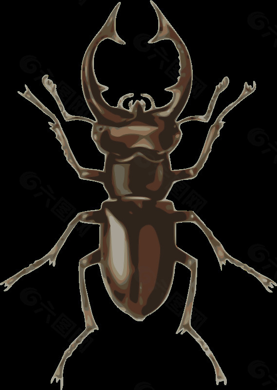 鹿角甲虫（Lucanus象属）