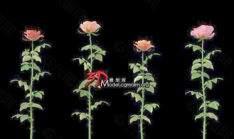 单只玫瑰花 rose 06（含高低模）