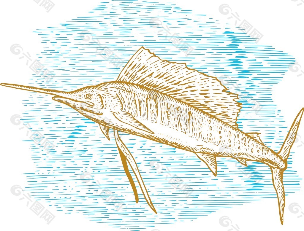 旗鱼鱼跳素描