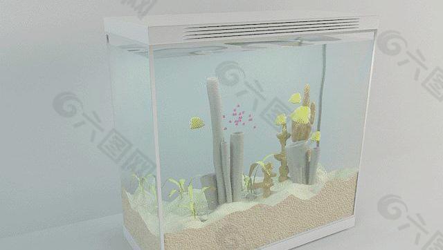 aquarium  漂亮的观赏大鱼缸