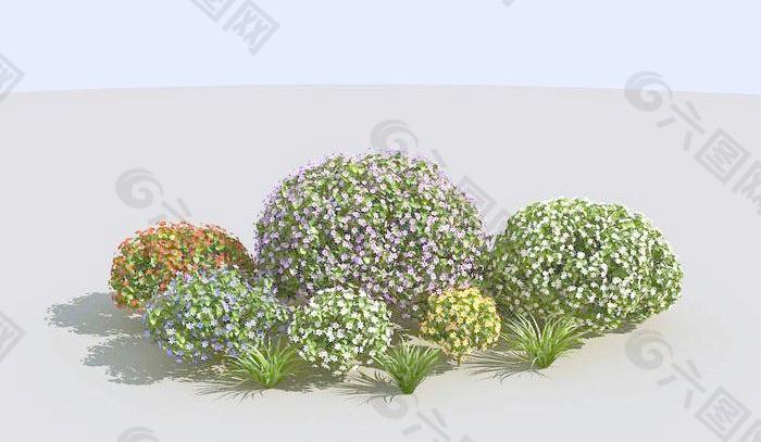 高精细花丛植物模型 bonus plants 01