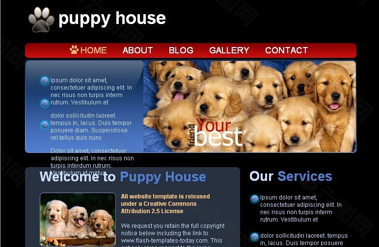 宠物之家网页模板