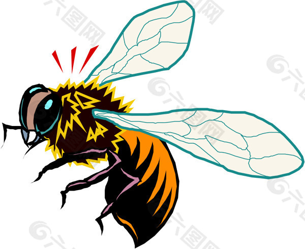 印花矢量图 动物 昆虫 苍蝇 色彩 免费素材