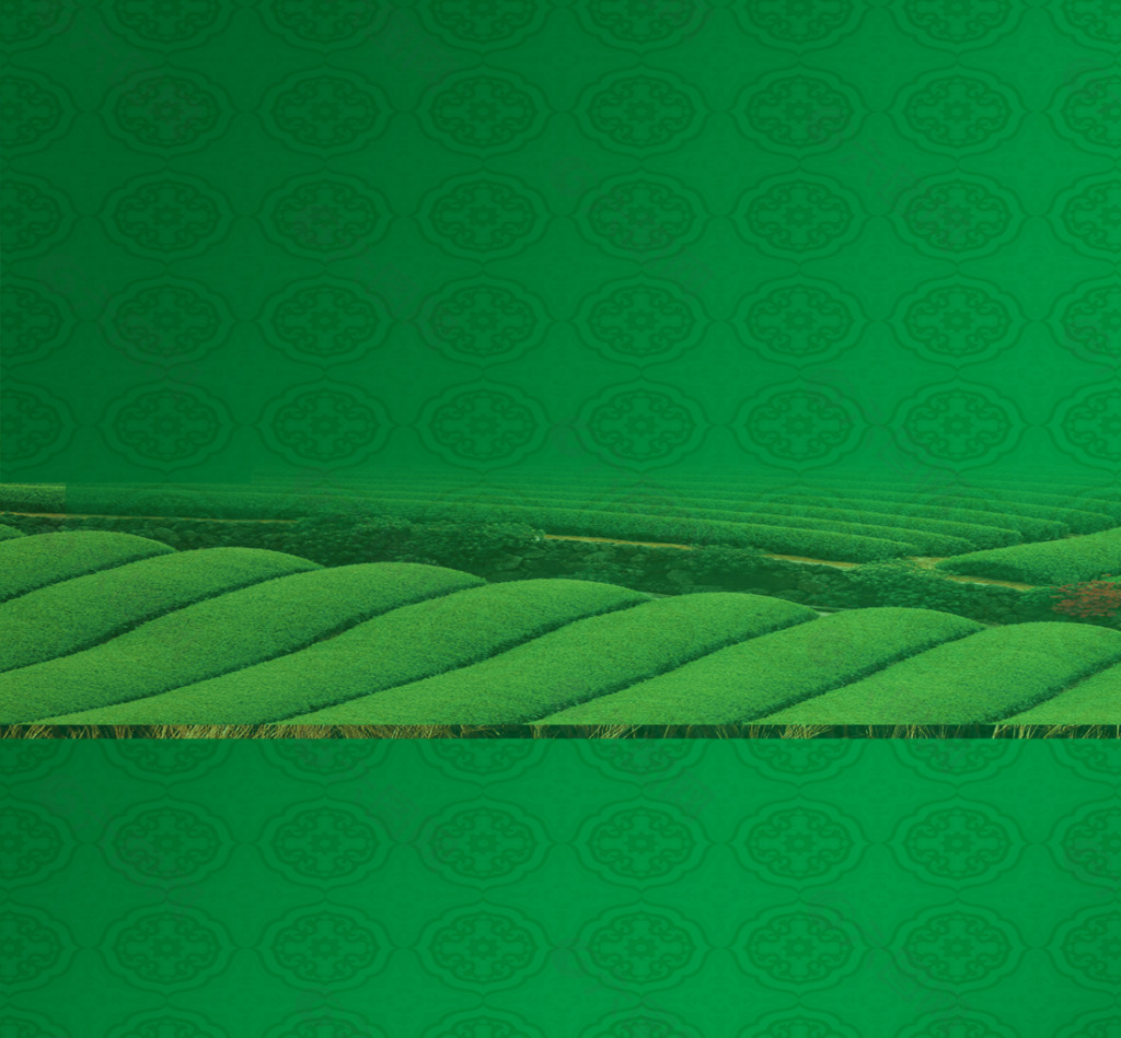 海报素材底纹设计绿色图片茶林
