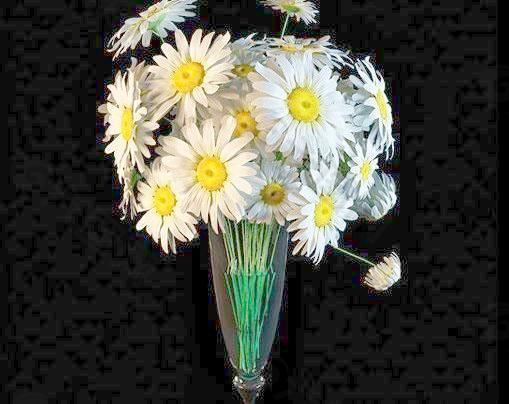 白色野菊花 花瓶（高模） 014