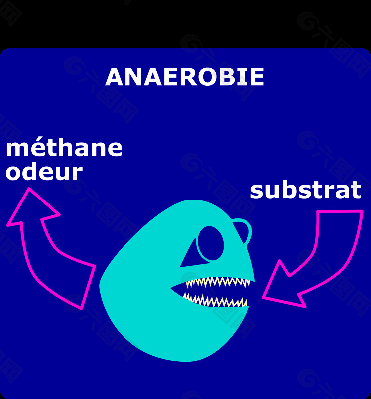 降解anaerobie