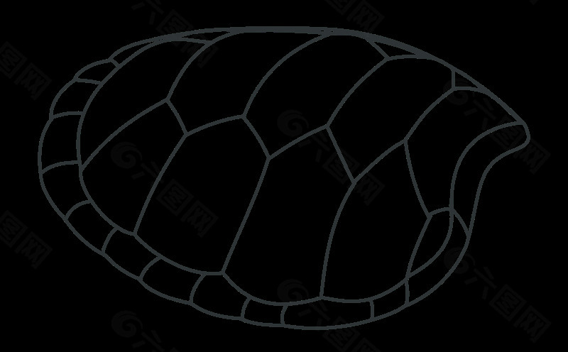 绿海龟蹄