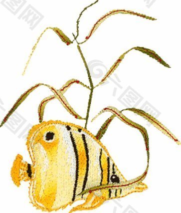 绣花 鱼类 金黄色 黑色 水草 免费素材