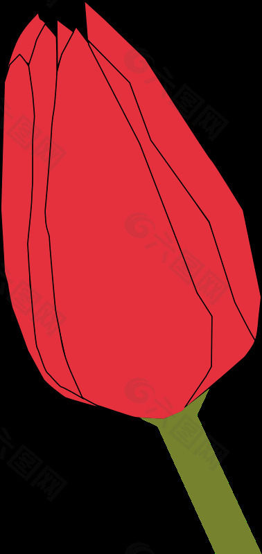 tulip2