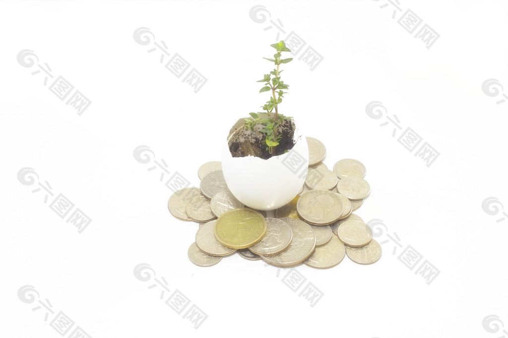 植物和金钱