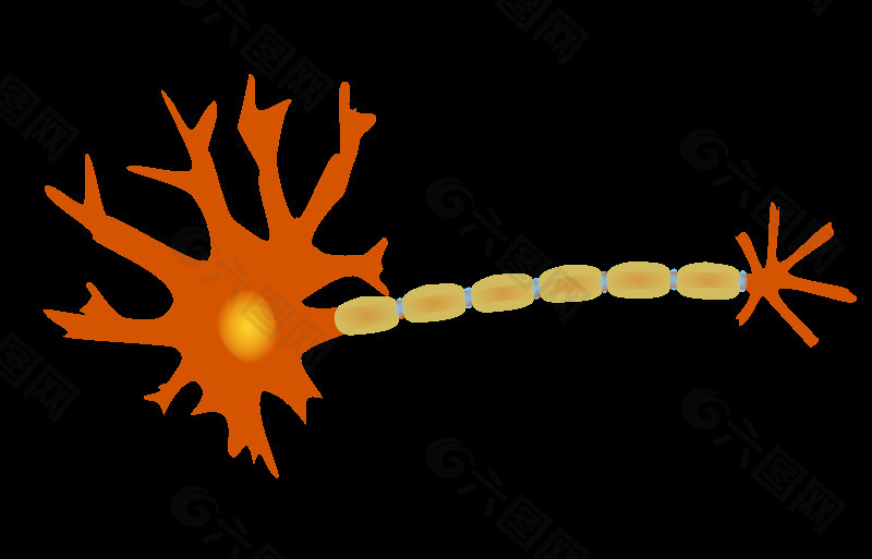 single_neuron