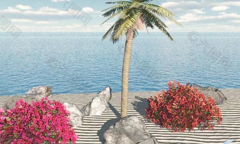 海边场景Beach palm tree scene