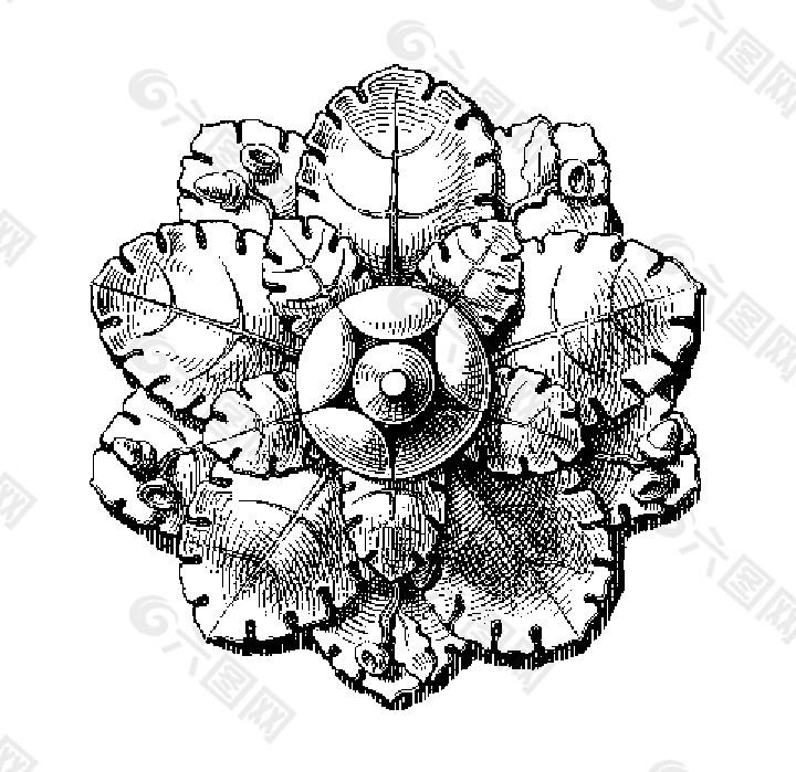 位图 花 黑色 白色 灰色 免费素材