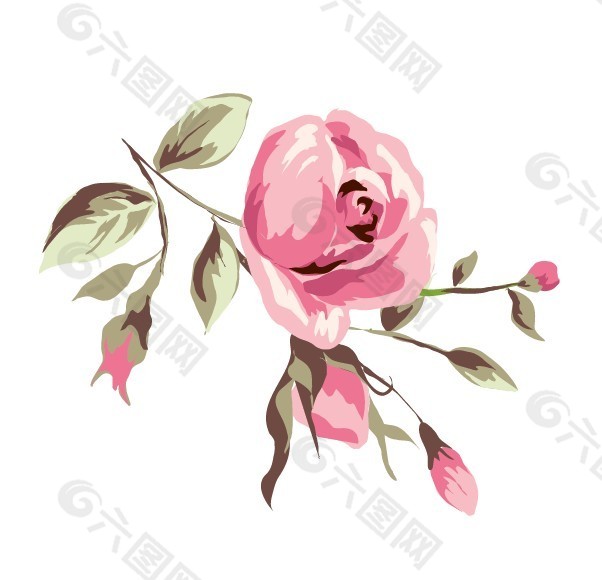 彩绘玫瑰花