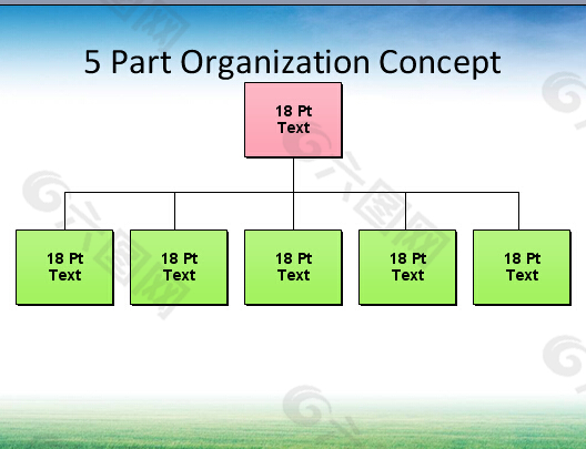 5部分组织的概念