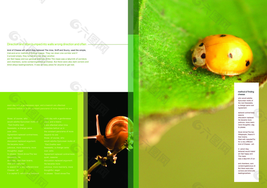生物昆虫实验室画册