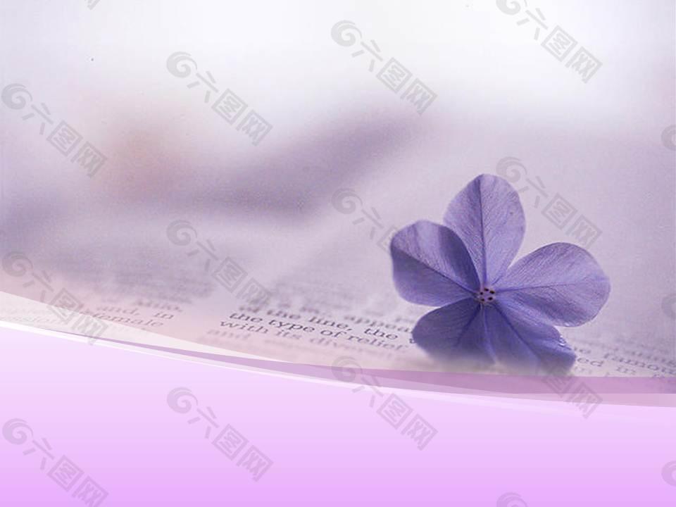 紫色高贵模板