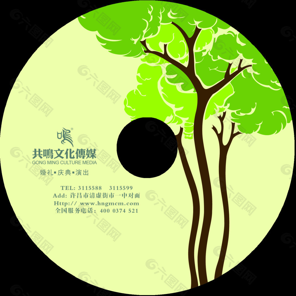 绿色大树光盘碟片