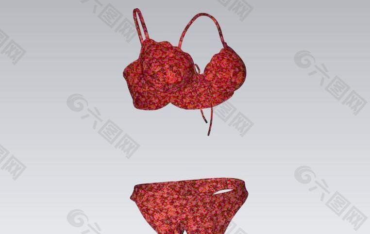 Underwear 女式内衣（包含贴图）10