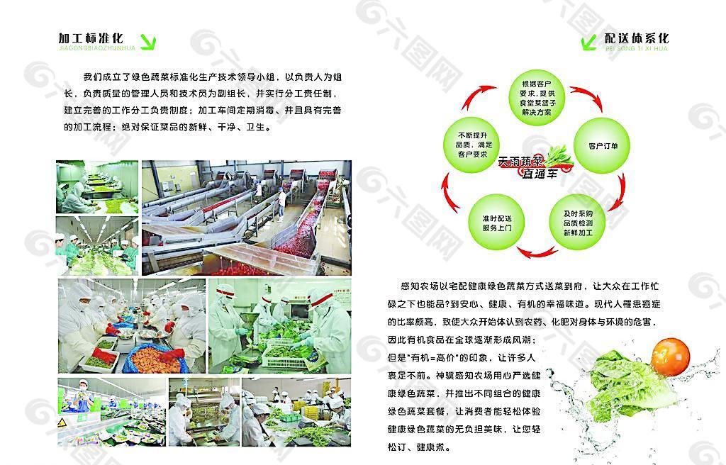 蔬菜销售画册图片平面广告素材免费下载(图片编号:3920406)-六图网