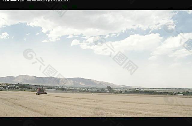 农田小麦收割视频素材图片
