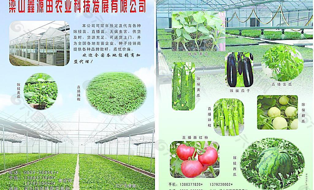 农业科技彩页图片