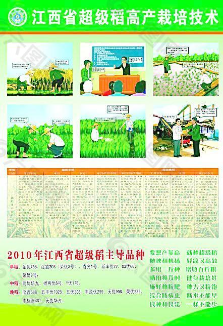 农业局水稻漫画图片