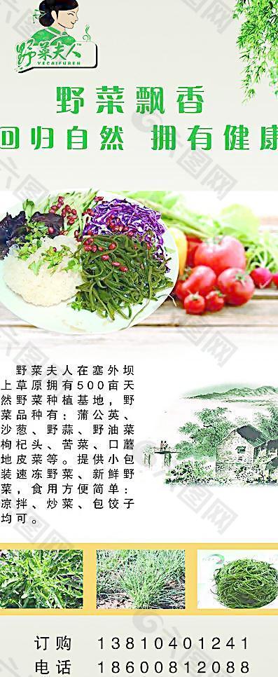 大拌菜展架图片