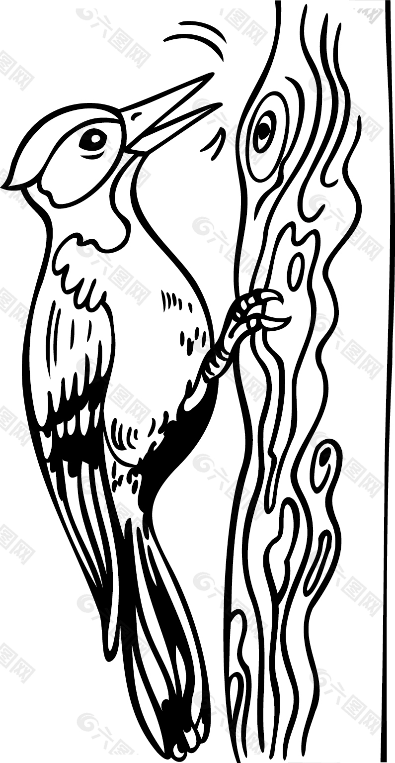 啄木鸟线描画图片