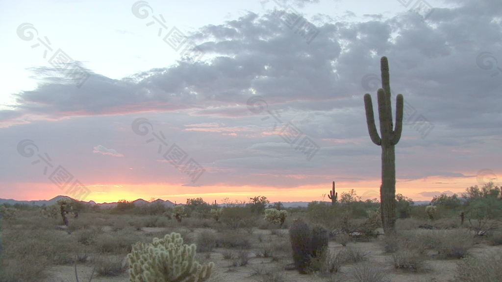 亚利桑那州的沙漠日落股票视频 视频免费下载