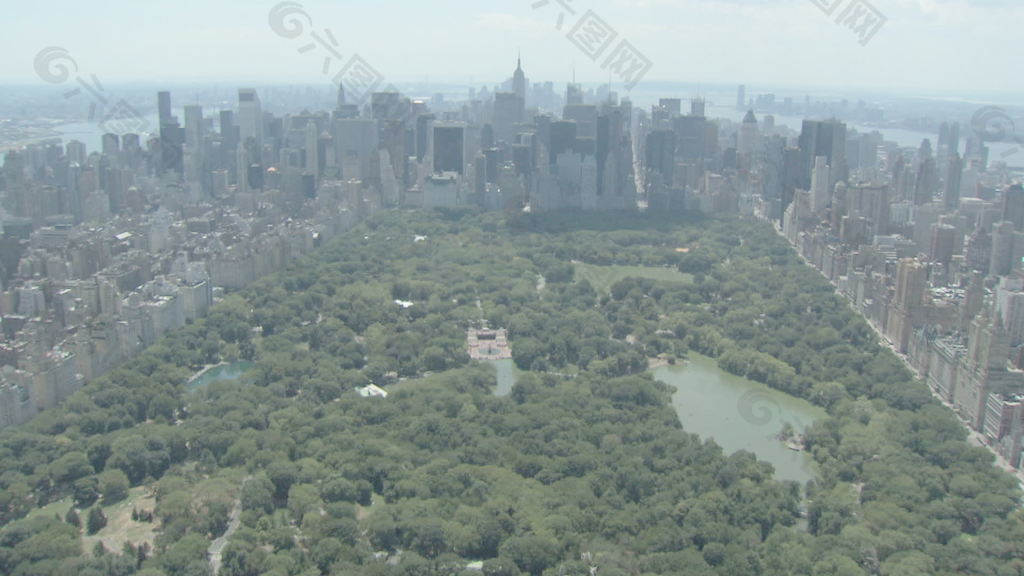 纽约市中央公园股票视频 视频免费下载