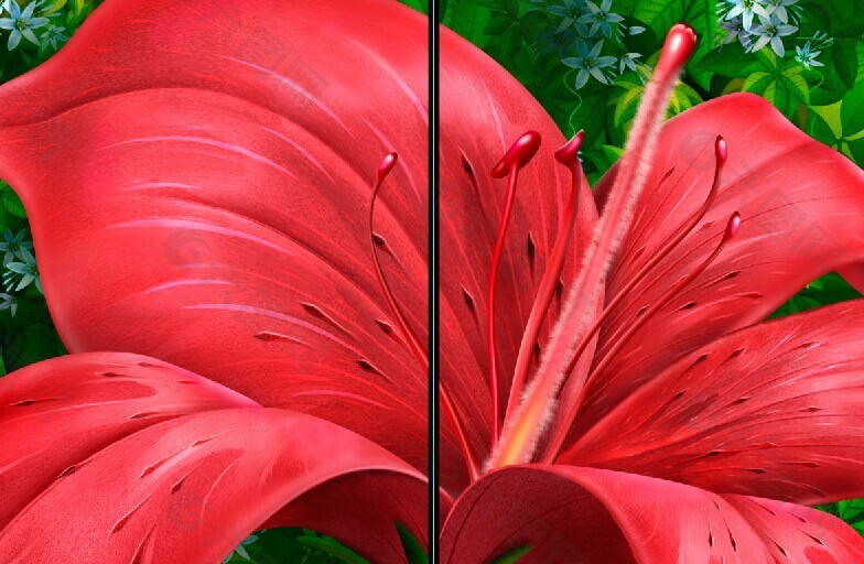 无框画 两联画 大红色的花朵