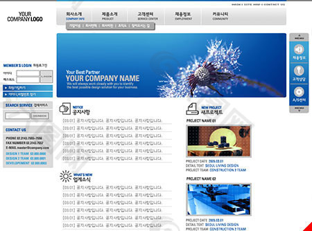 韩国公司网站模板