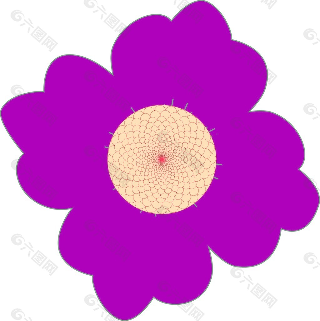 紫色的花朵特写