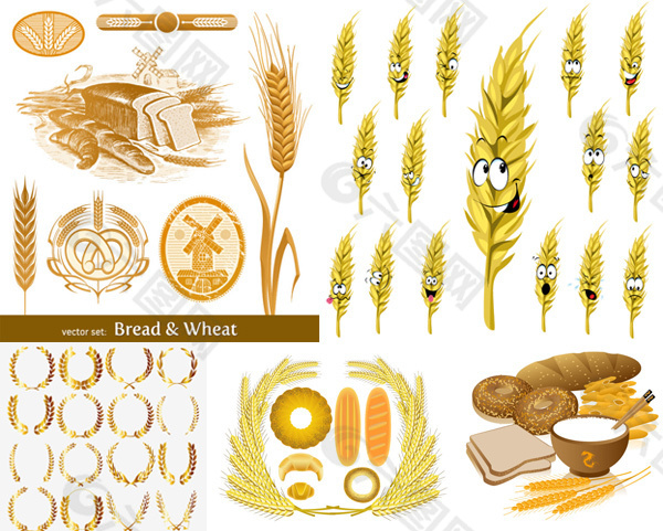 小麦创意主题矢量素材