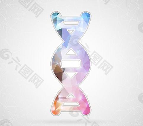 冷静的基因的DNA