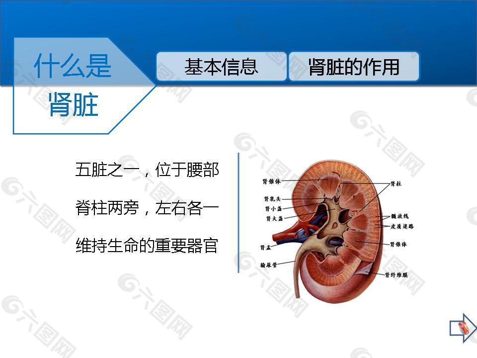 日常生活的护肾关键