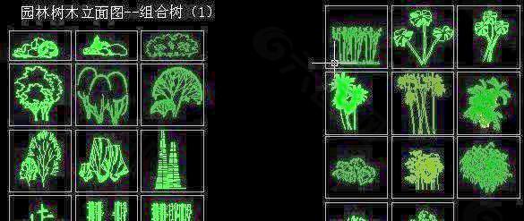 园林树木立面图