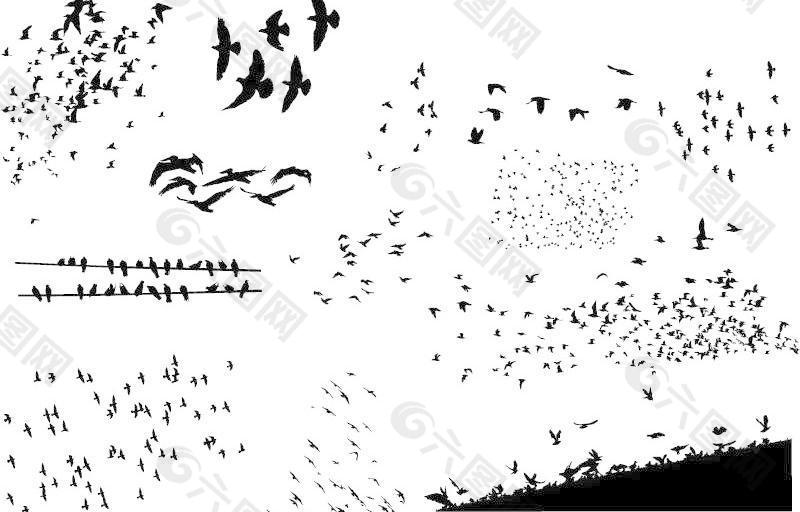 迁徙的鸟类剪影矢量素材