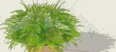 盆花SU模型
