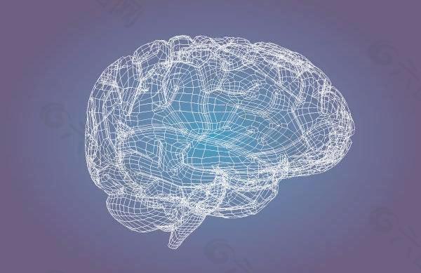 三维人脑模型矢量素材