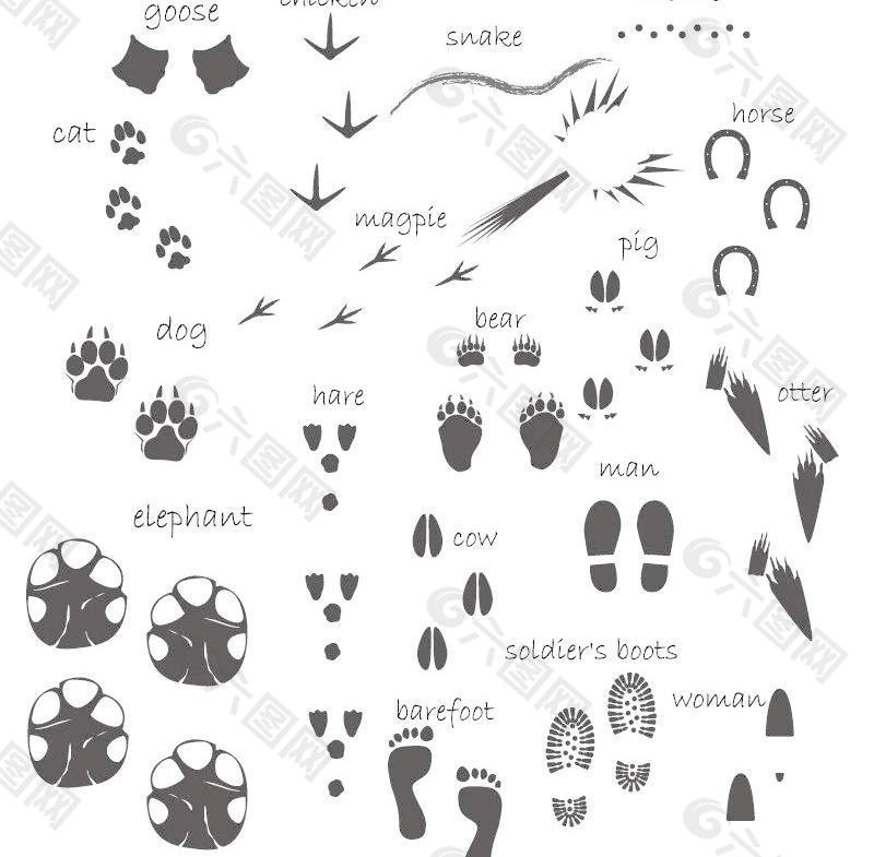 动物的脚印图矢量素材