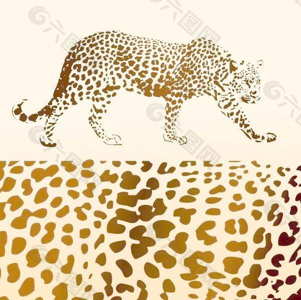 现实的豹和豹矢量素材