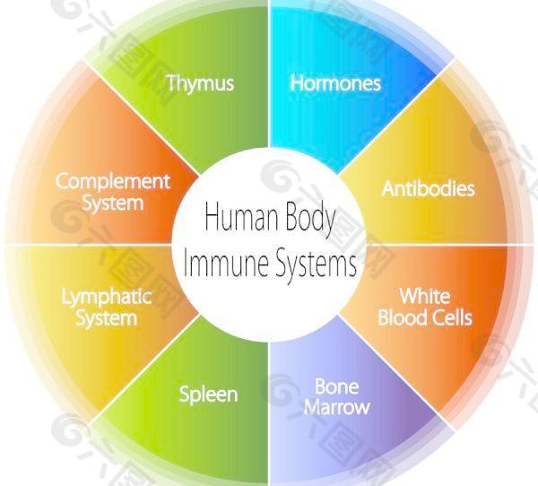 免疫矢量素材